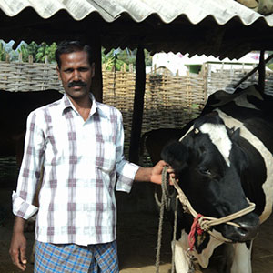 From Milking Cows to Leading Farmers